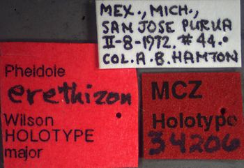 Media type: image;   Entomology 34206 Aspect: labels